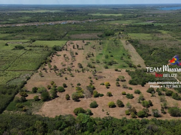 43.48 Acres Near Corozal Town