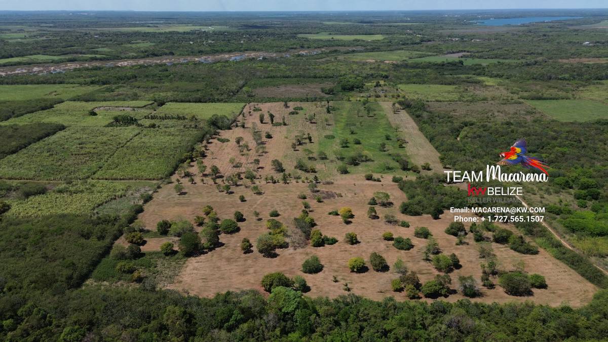 43.48 Acres Near Corozal Town