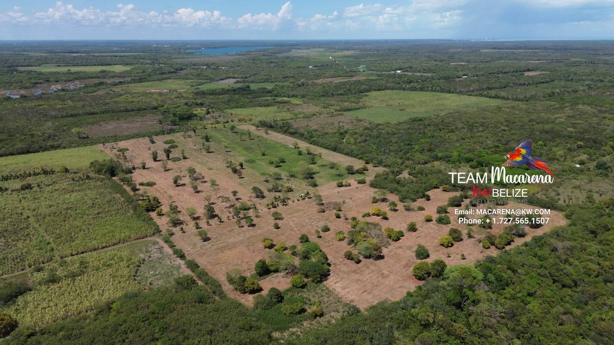 43.48 Acres Near Corozal Town – Tropical Paradise Acreage for Sale in Belize