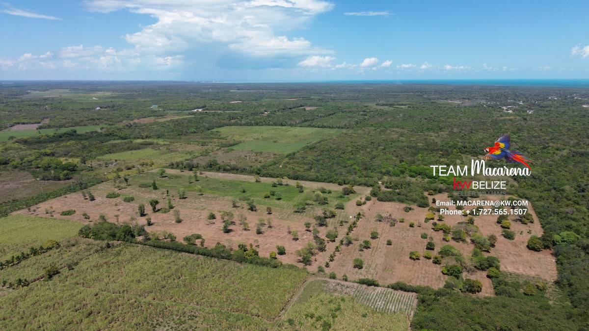43.48 Acres Near Corozal Town – Tropical Paradise Acreage for Sale in Belize