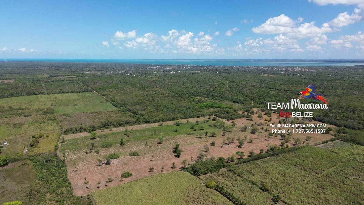 43.48 Acres Near Corozal Town – Tropical Paradise Acreage for Sale in Belize