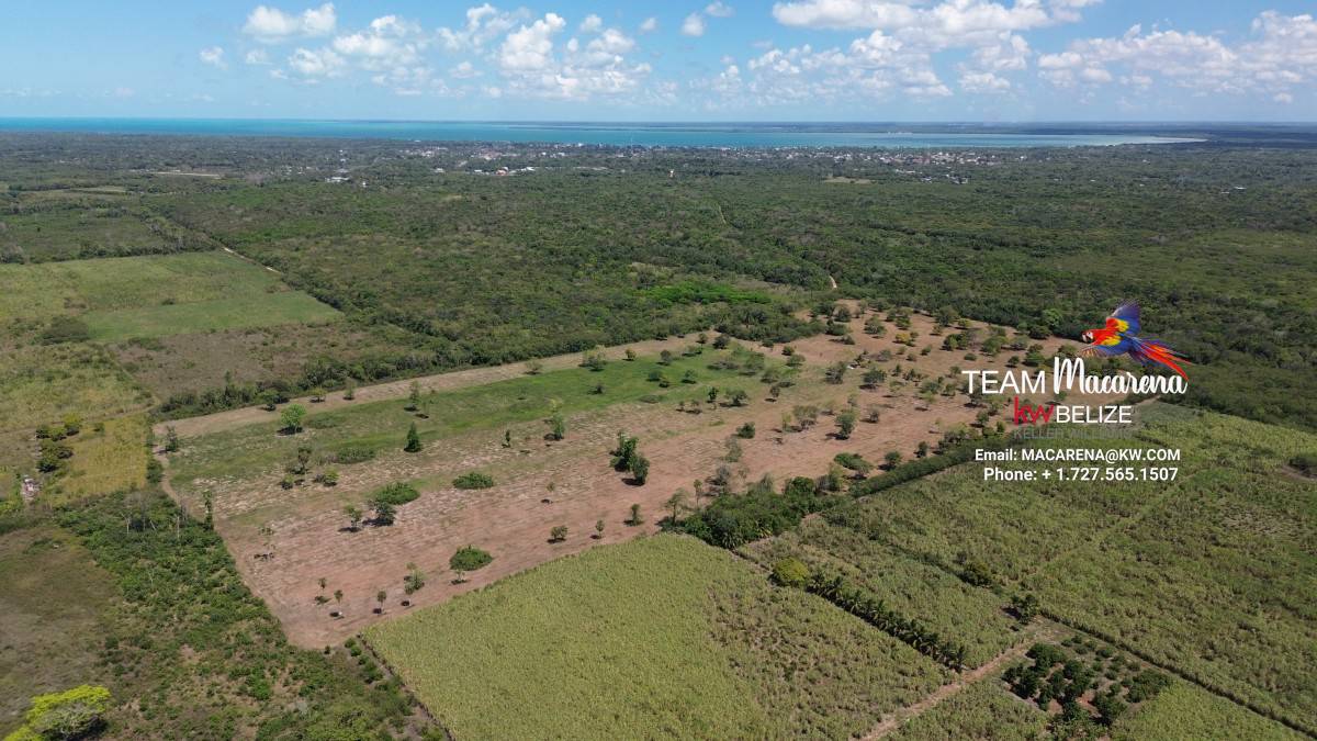 43.48 Acres Near Corozal Town – Tropical Paradise Acreage for Sale in Belize