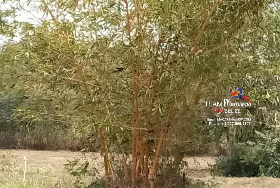 1170