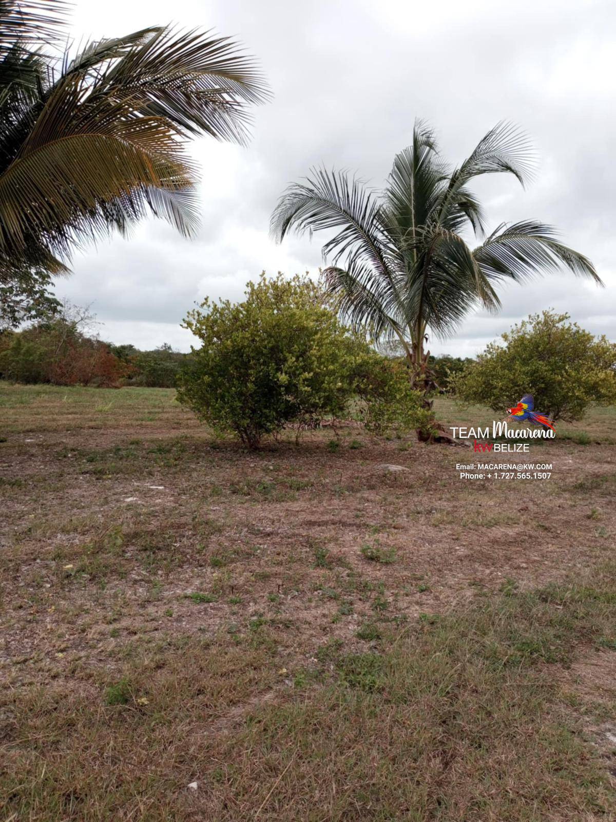 43.48 Acres Near Corozal Town – Tropical Paradise Acreage for Sale in Belize