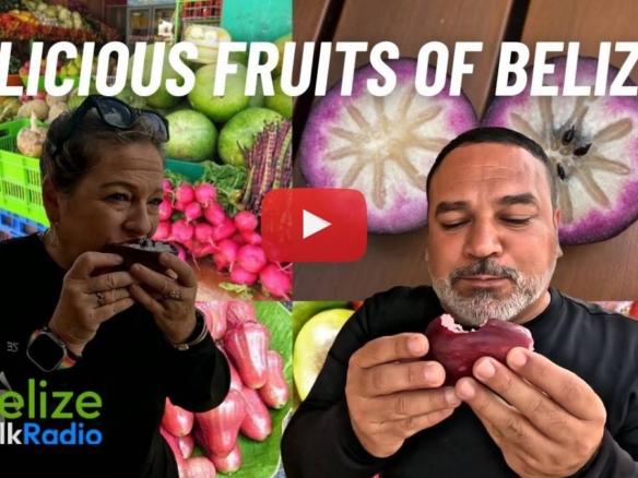 Tasting Belize’s Exotic Fruits