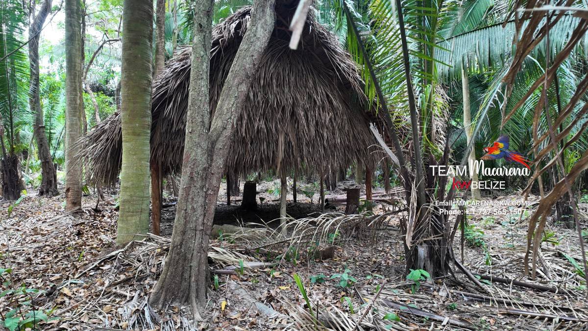 10 Acres in Southern Belize: A Rare Opportunity to Own Paradise Near the Maya Mountains