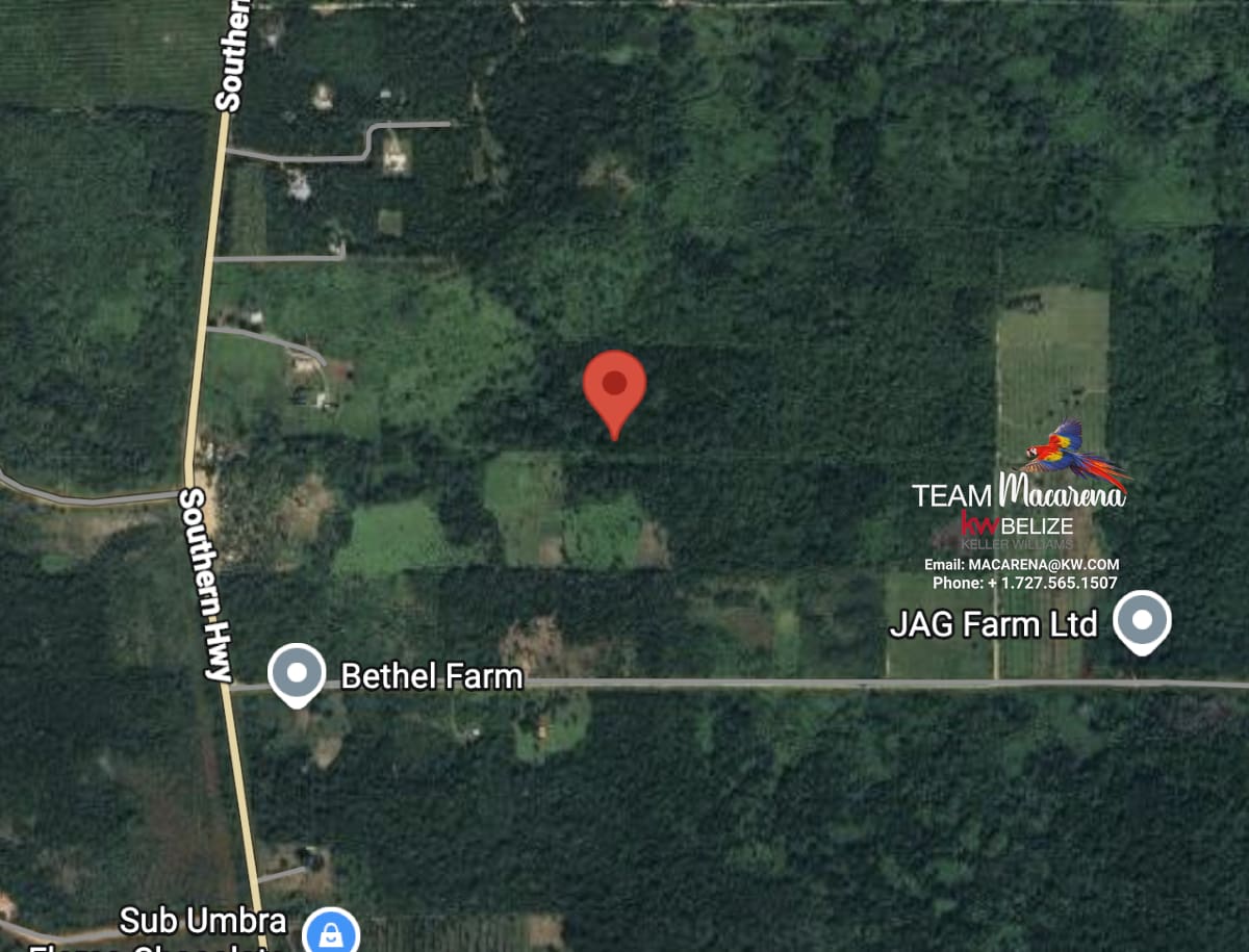 10 Acres in Southern Belize: A Rare Opportunity to Own Paradise Near the Maya Mountains