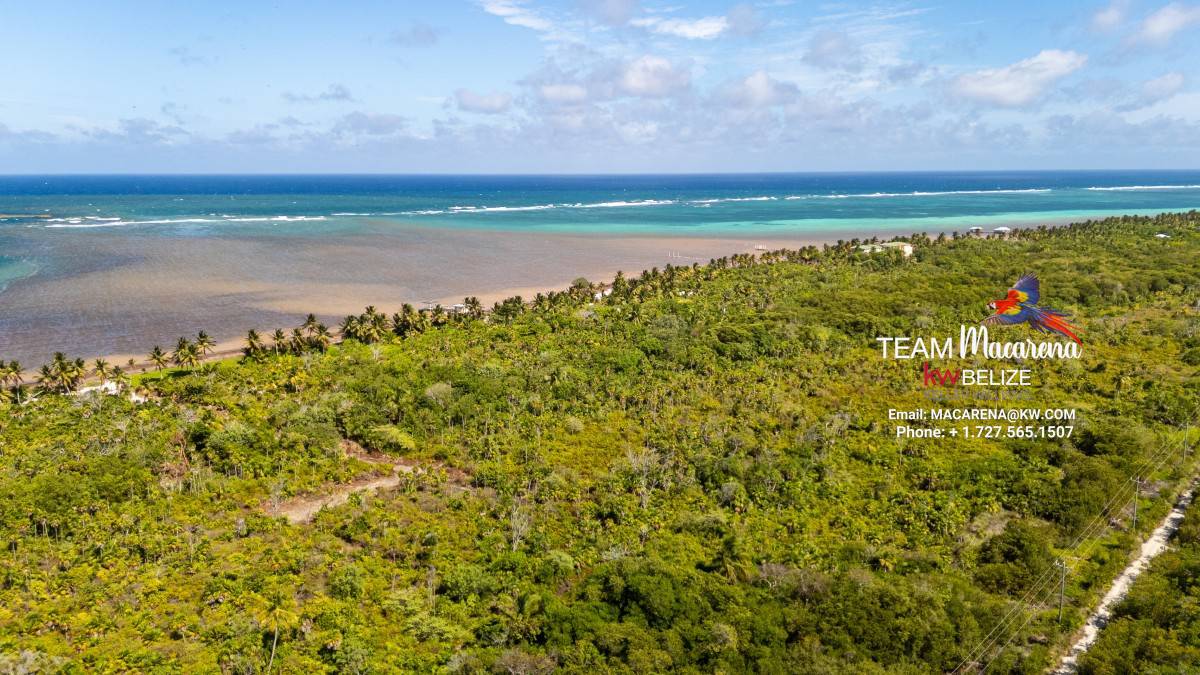 default Beachfront Land in Ambergris Caye Belize
