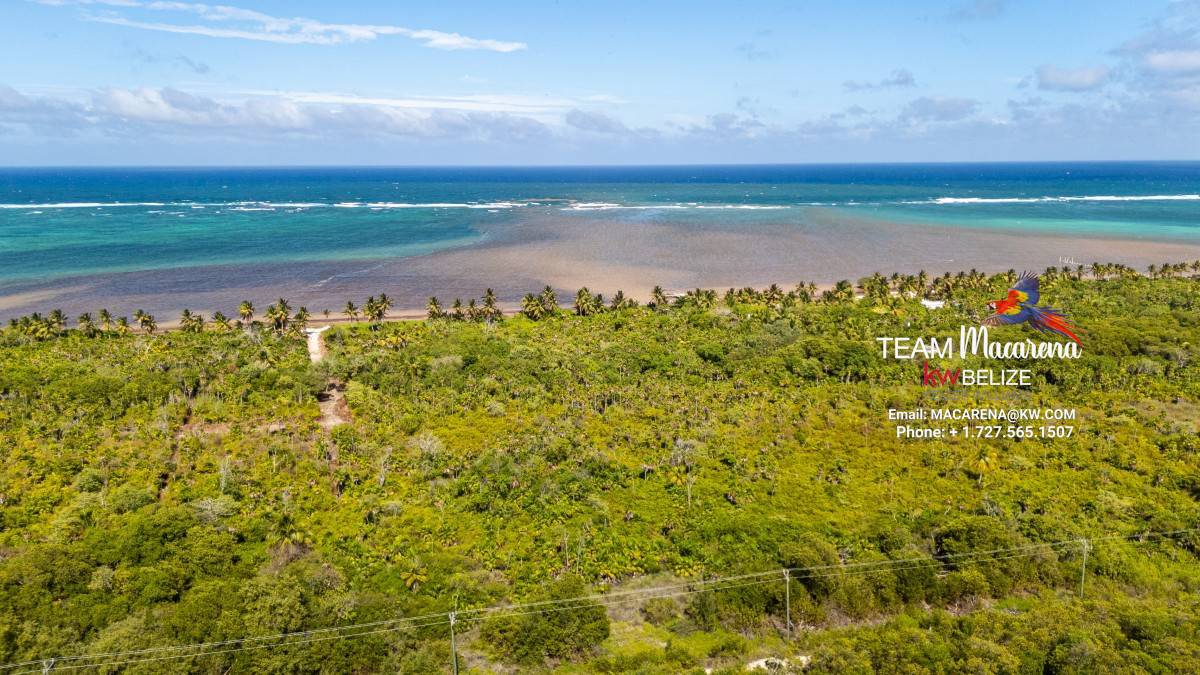 default Beachfront Land in Ambergris Caye Belize