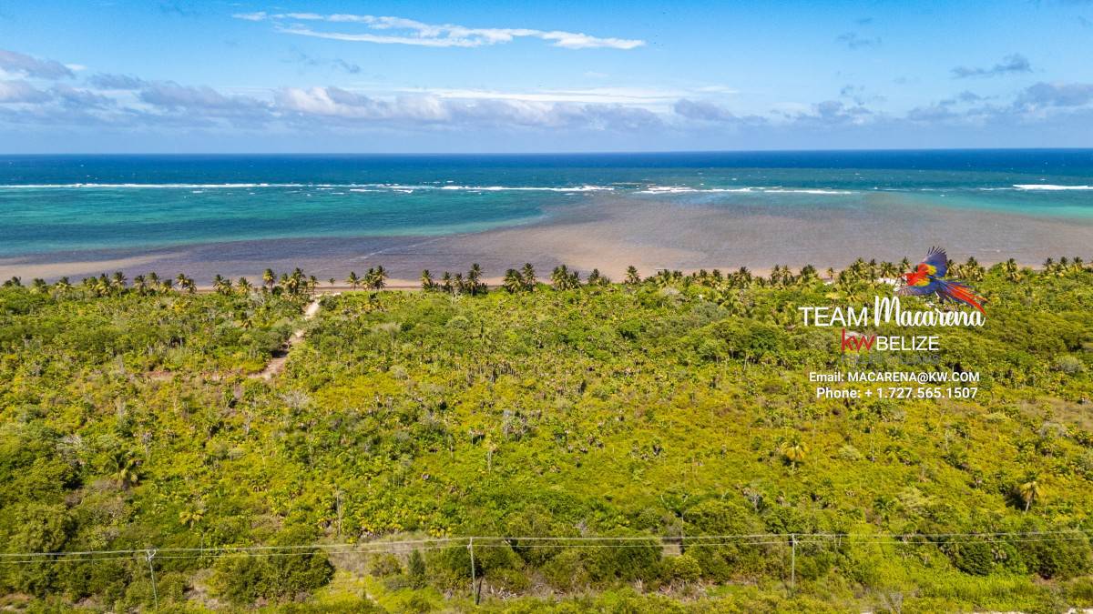 default Beachfront Land in Ambergris Caye Belize
