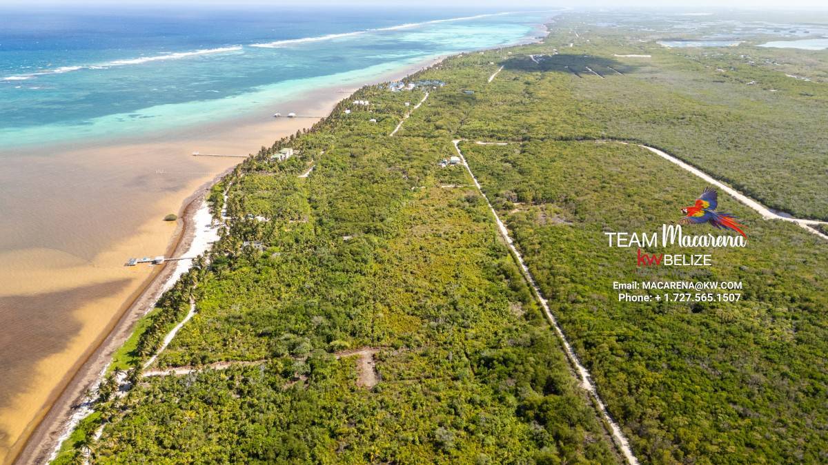 default Beachfront Land in Ambergris Caye Belize