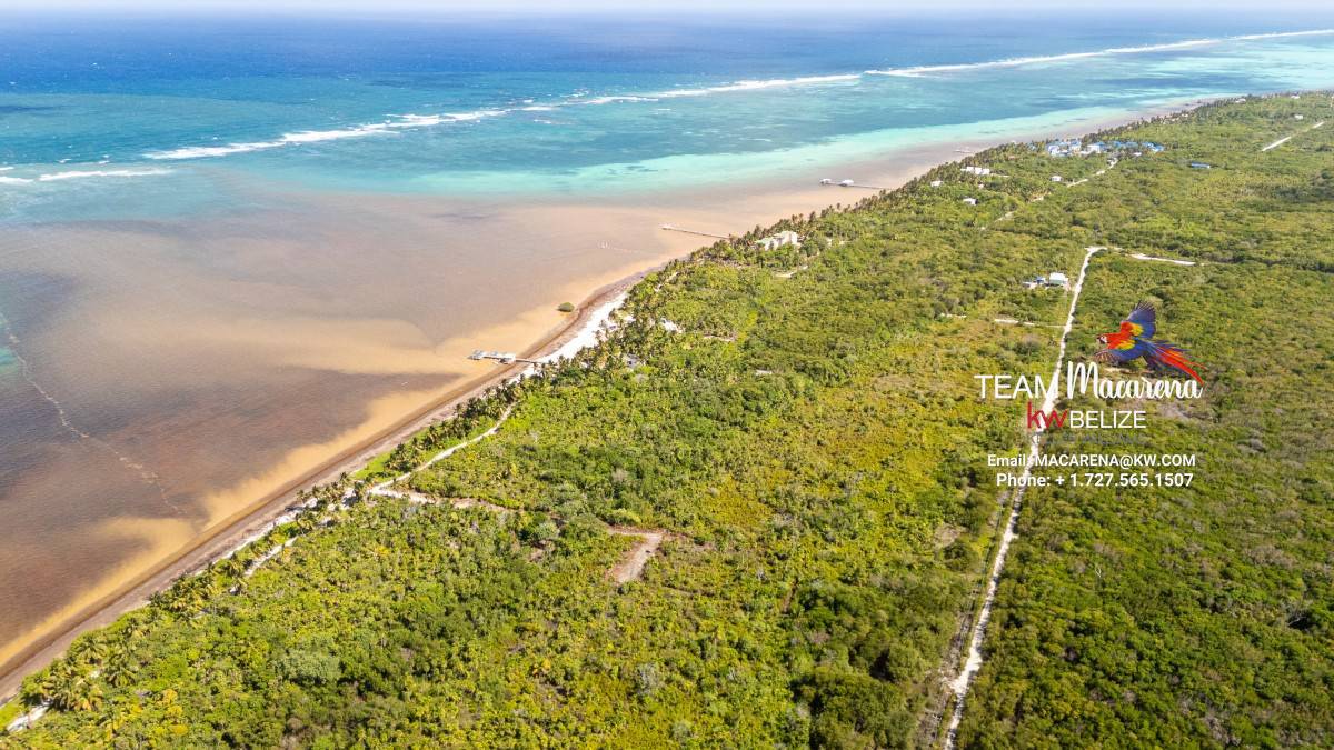 default Beachfront Land in Ambergris Caye Belize