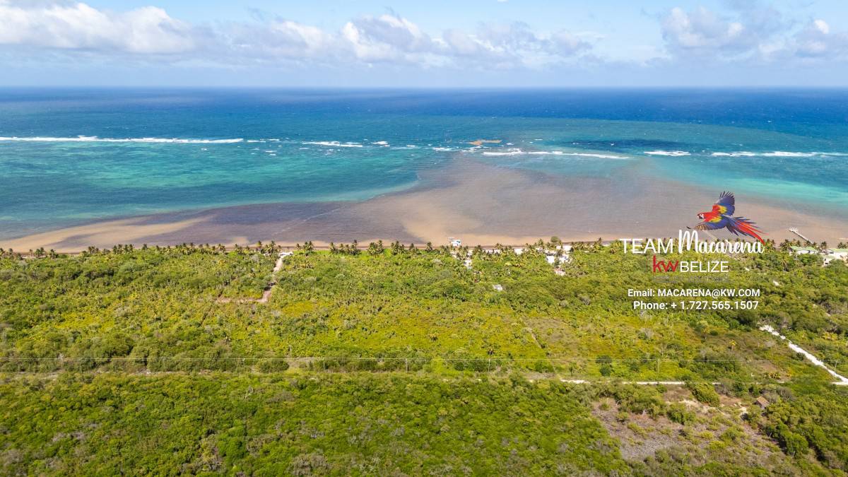 default Beachfront Land in Ambergris Caye Belize