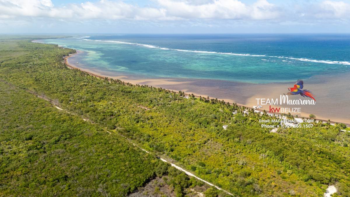 default Beachfront Land in Ambergris Caye Belize