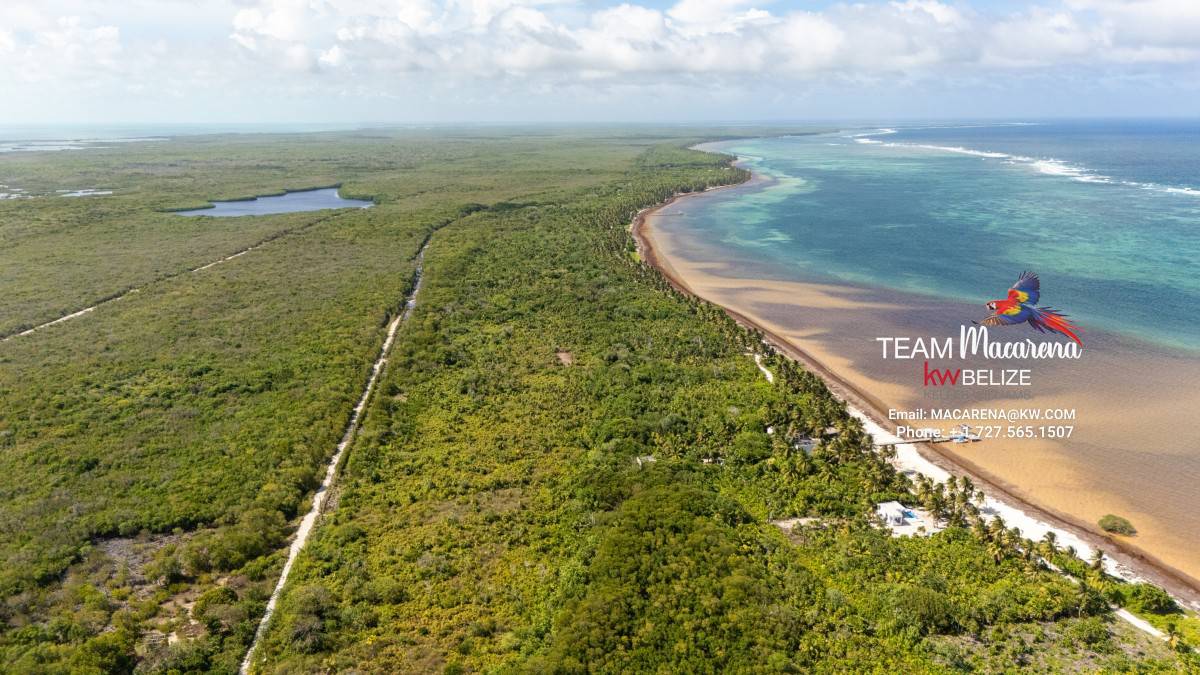 default Beachfront Land in Ambergris Caye Belize