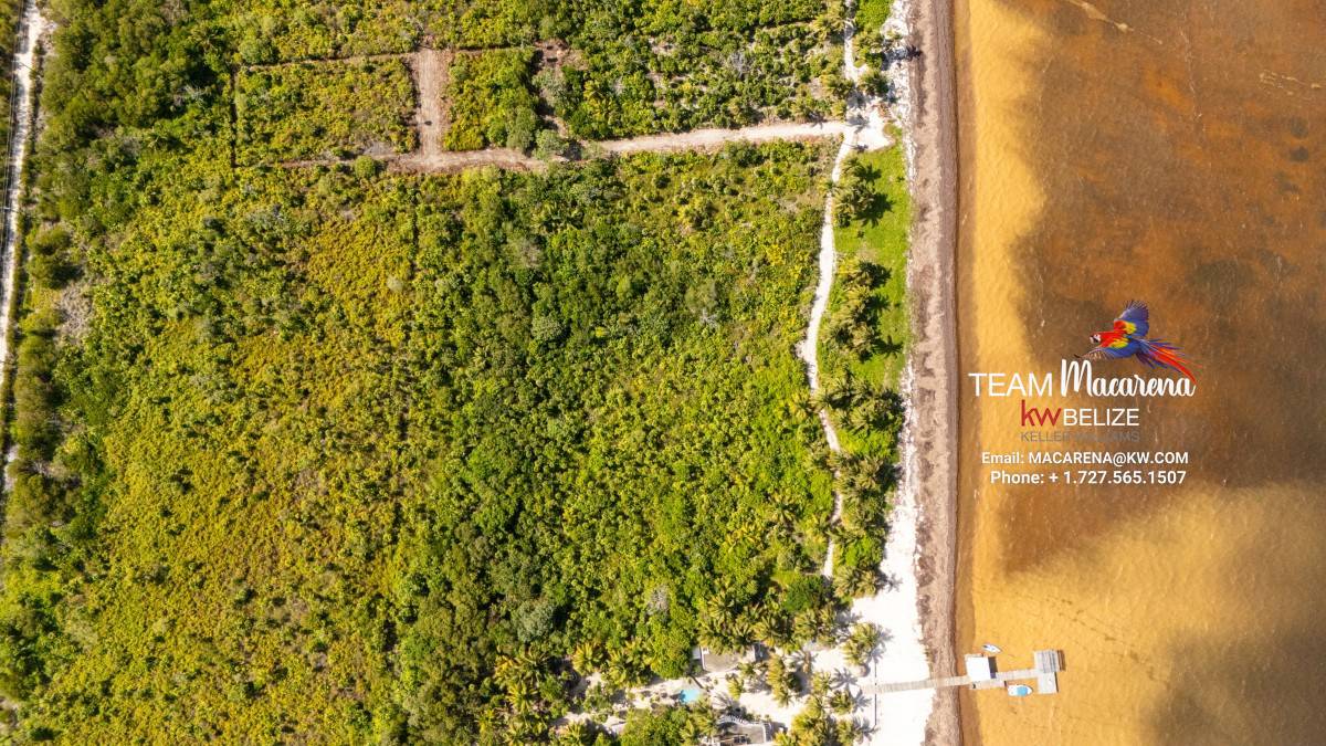 default Beachfront Land in Ambergris Caye Belize