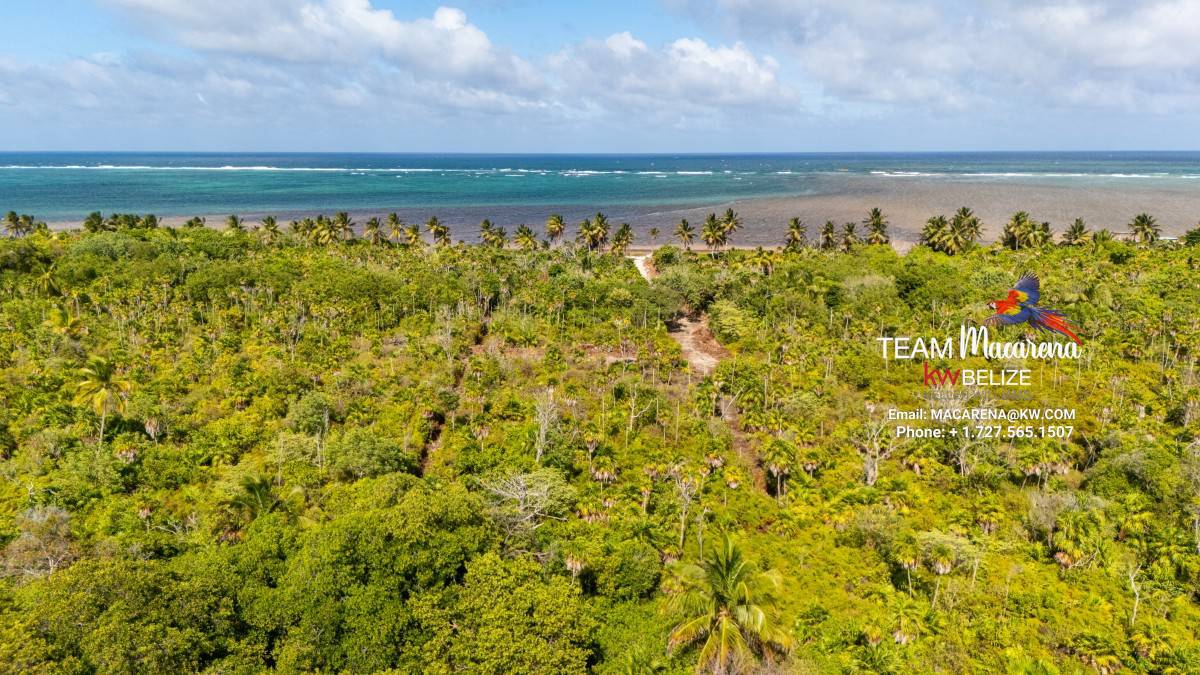 default Beachfront Land in Ambergris Caye Belize