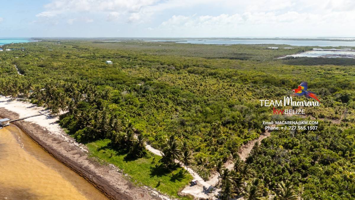 default Beachfront Land in Ambergris Caye Belize
