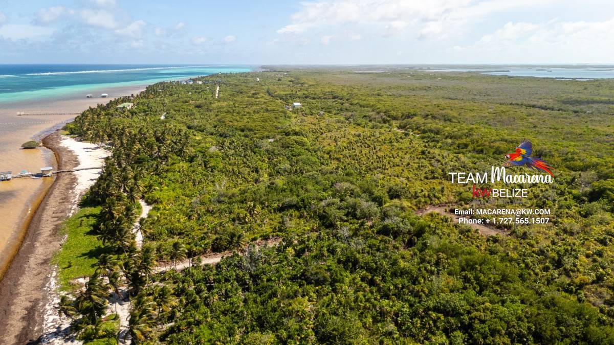 default Beachfront Land in Ambergris Caye Belize