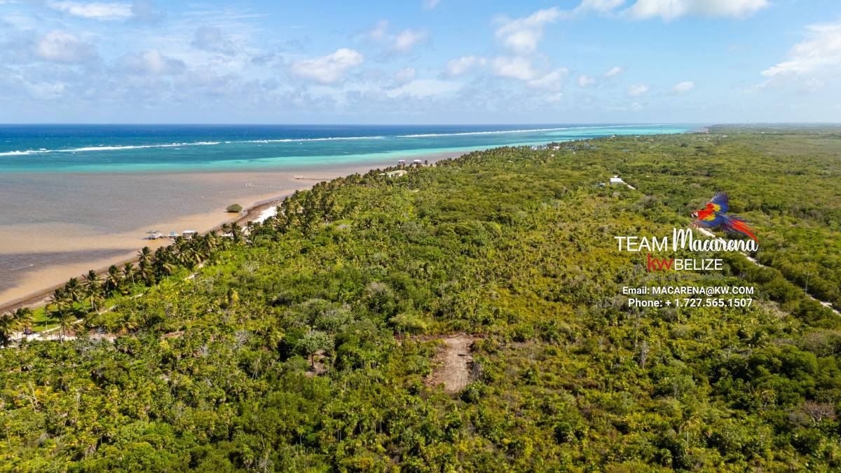 default Beachfront Land in Ambergris Caye Belize