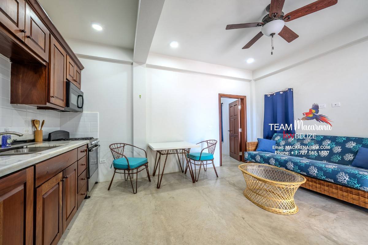 Luxury Belize Beachfront Home with Caribbean Views and Income Potential