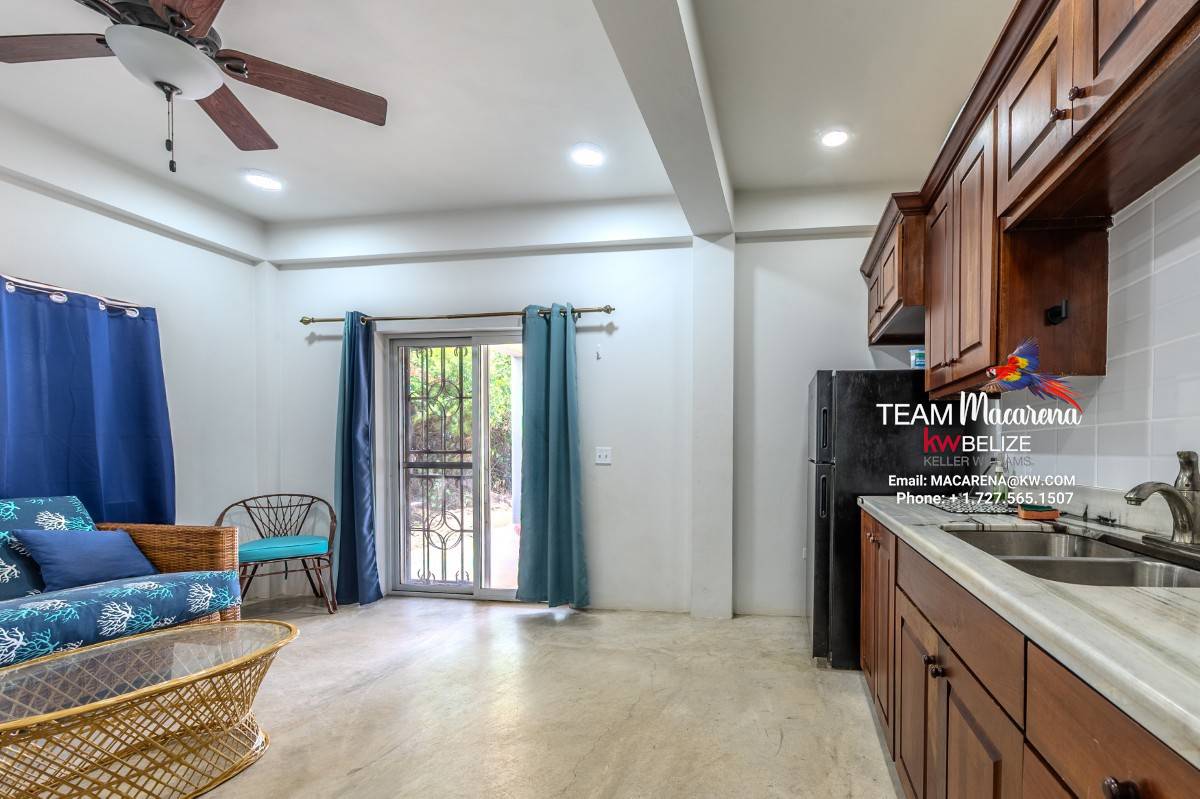 Luxury Belize Beachfront Home with Caribbean Views and Income Potential