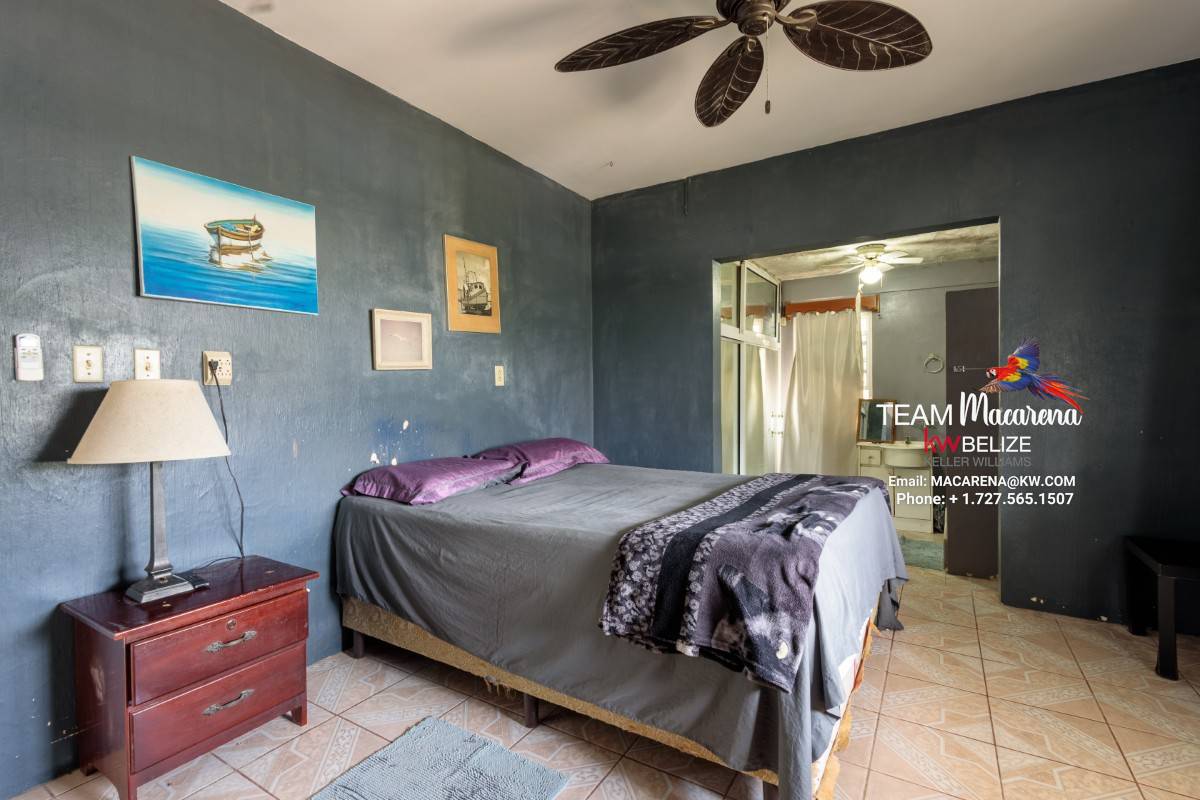 Home with Business Opportunity Corozal Belize