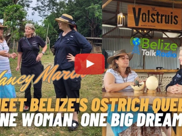 Ostrich Farming In Belize