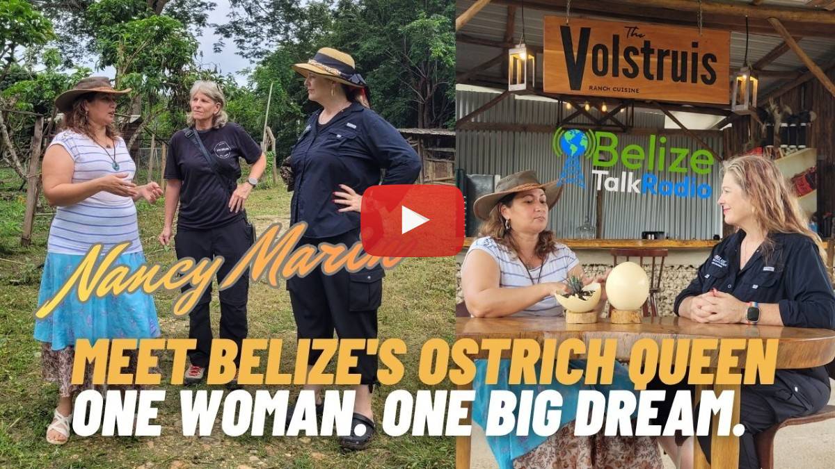 Ostrich Farming In Belize