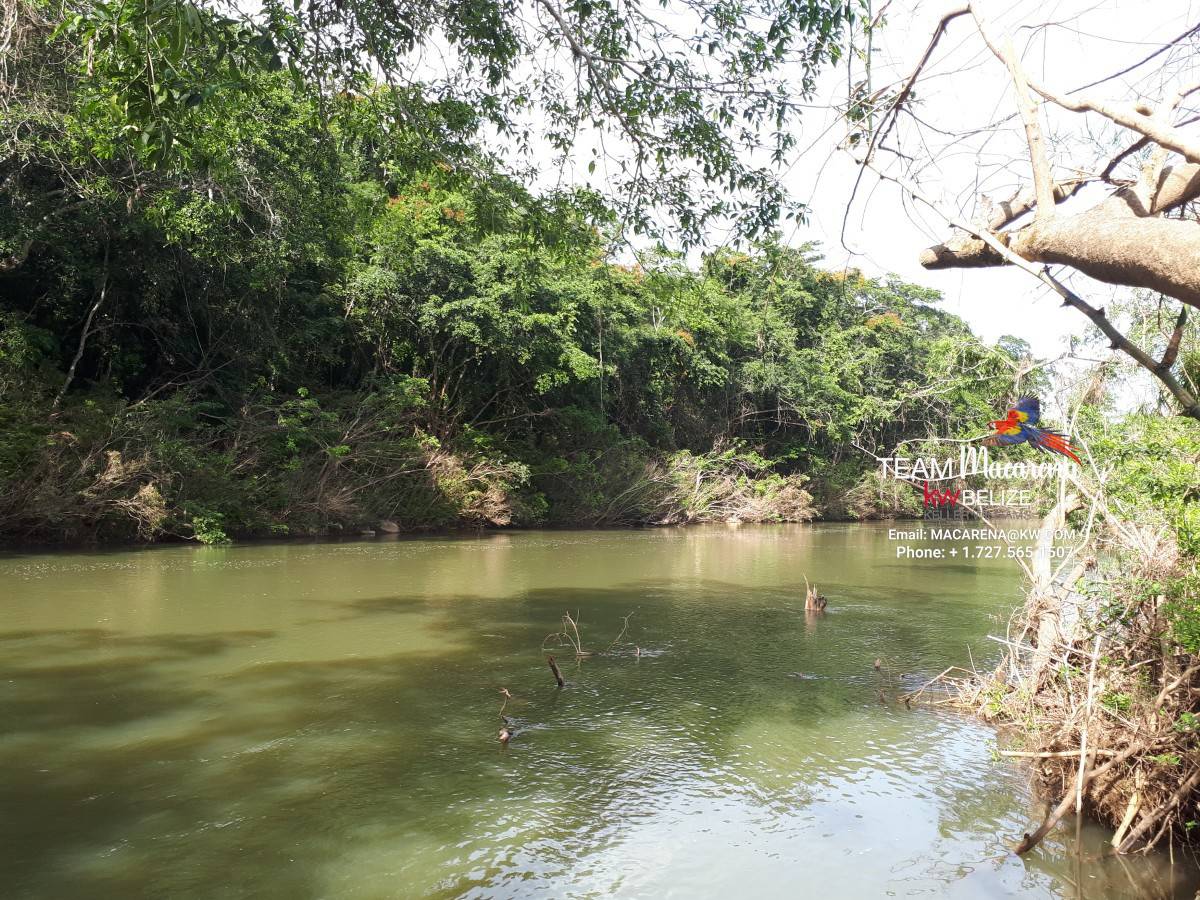 Your Own Riverfront Paradise in Belize