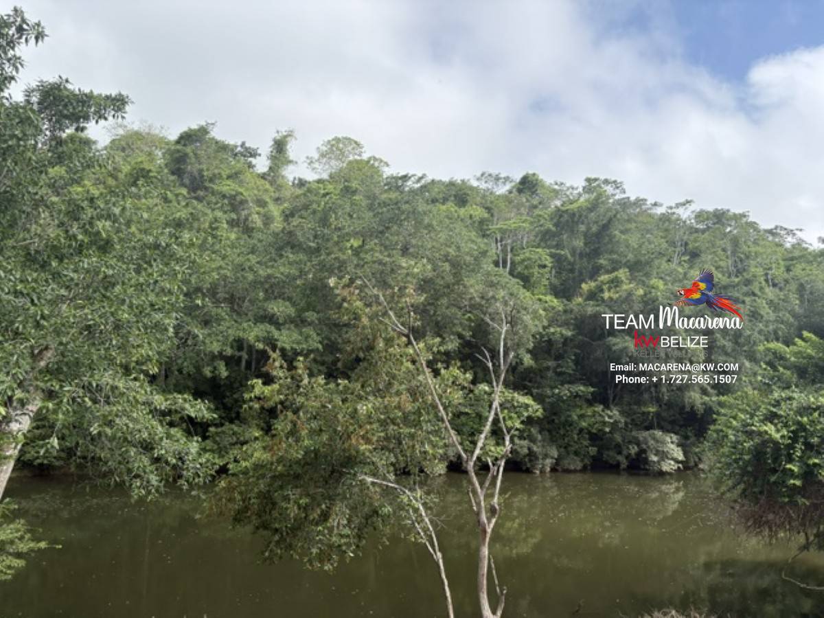 Your Own Riverfront Paradise in Belize