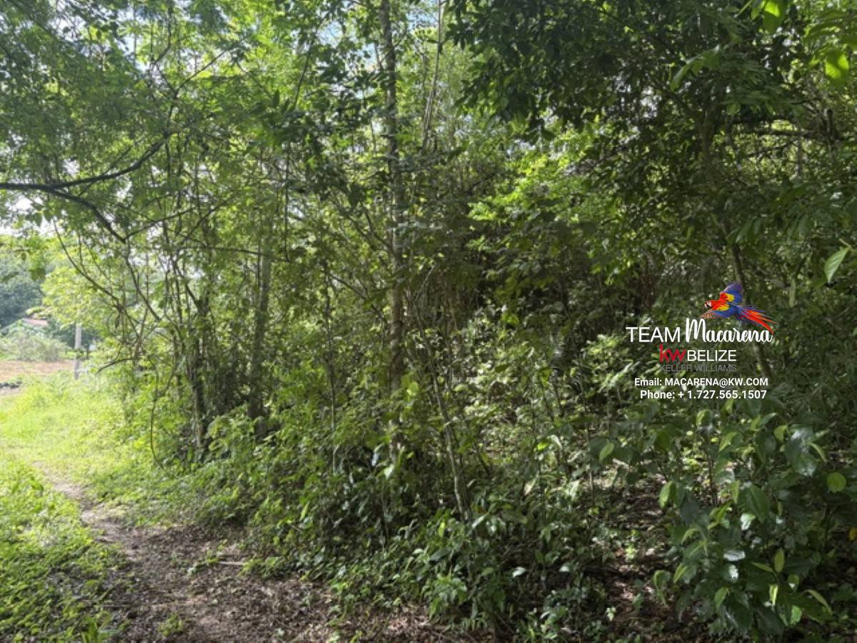 Your Own Riverfront Paradise in Belize