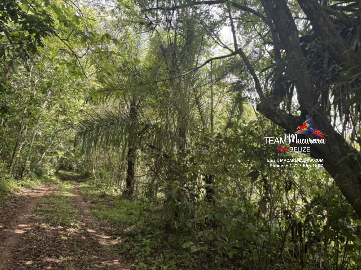Your Own Riverfront Paradise in Belize