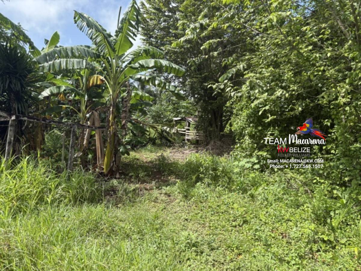 Your Own Riverfront Paradise in Belize