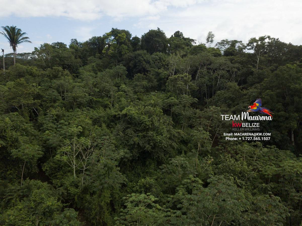 Your Own Riverfront Paradise in Belize