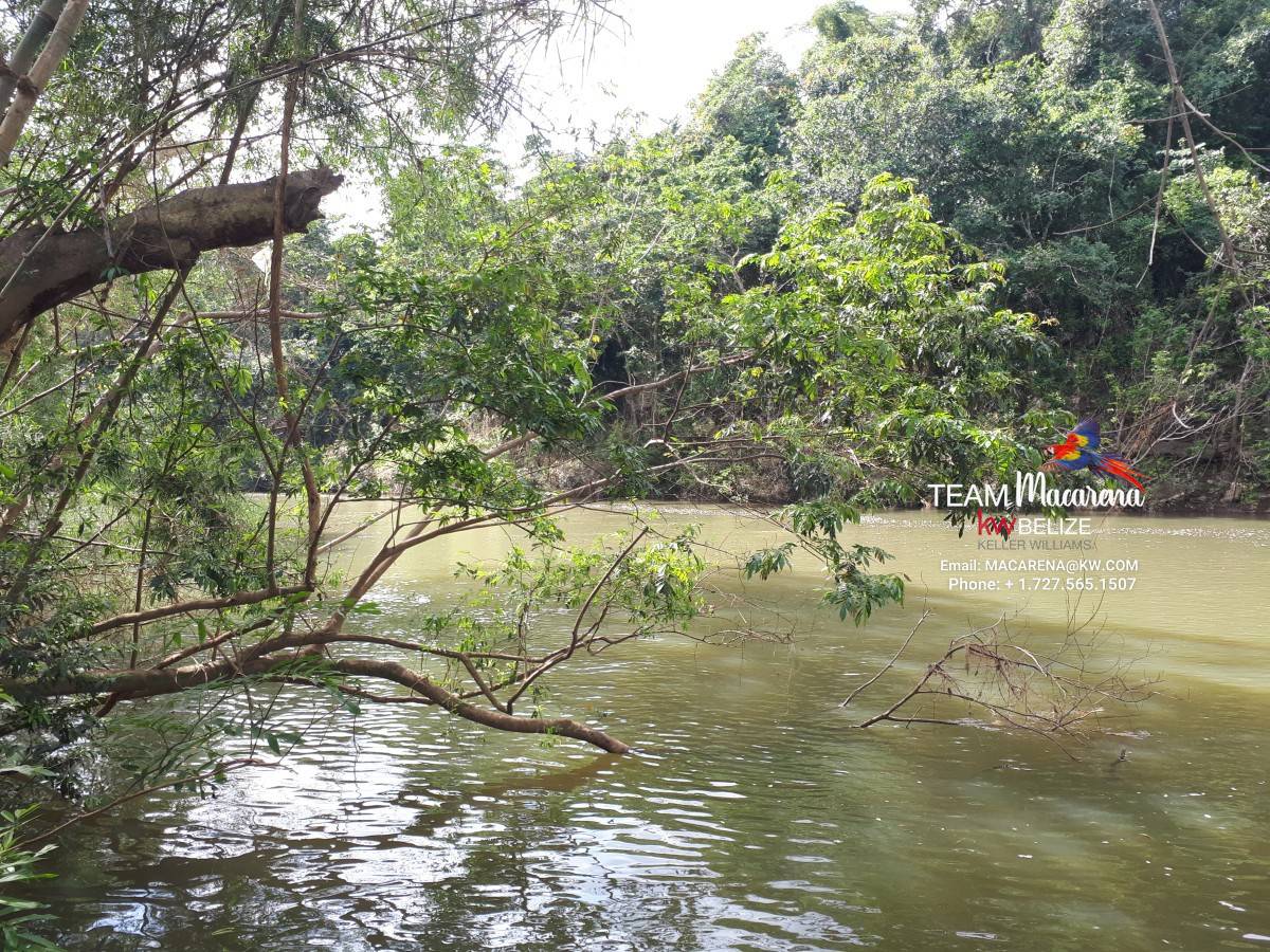 Your Own Riverfront Paradise in Belize