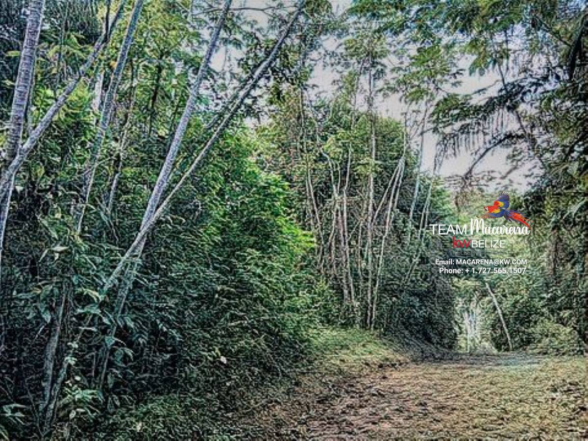 Your Own Riverfront Paradise in Belize