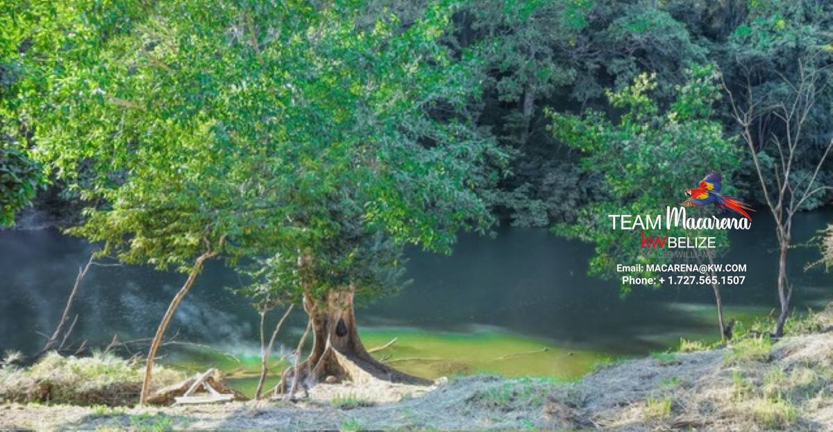 Your Own Riverfront Paradise in Belize