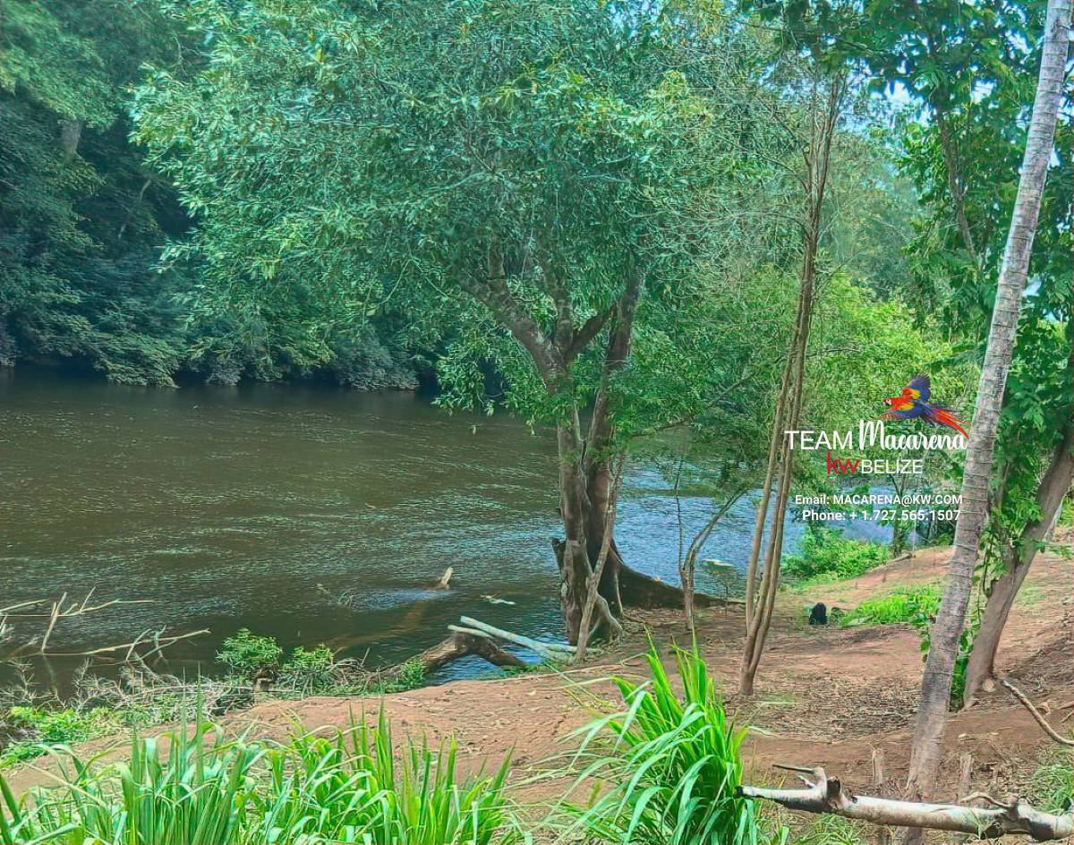 Your Own Riverfront Paradise in Belize