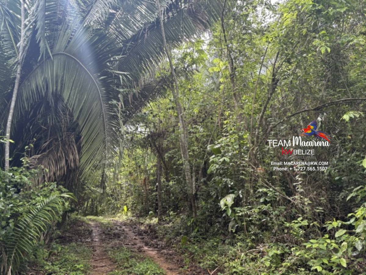 Your Own Riverfront Paradise in Belize