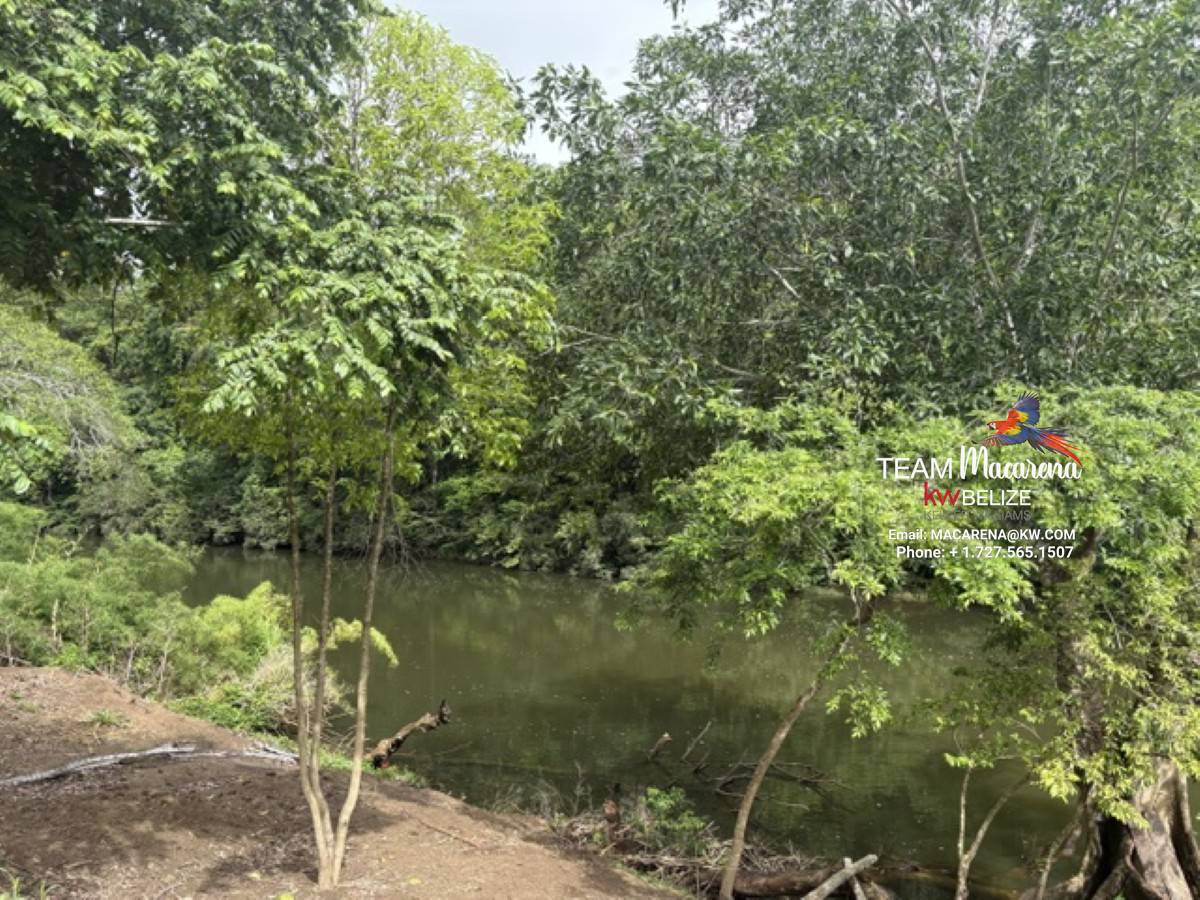 Your Own Riverfront Paradise in Belize