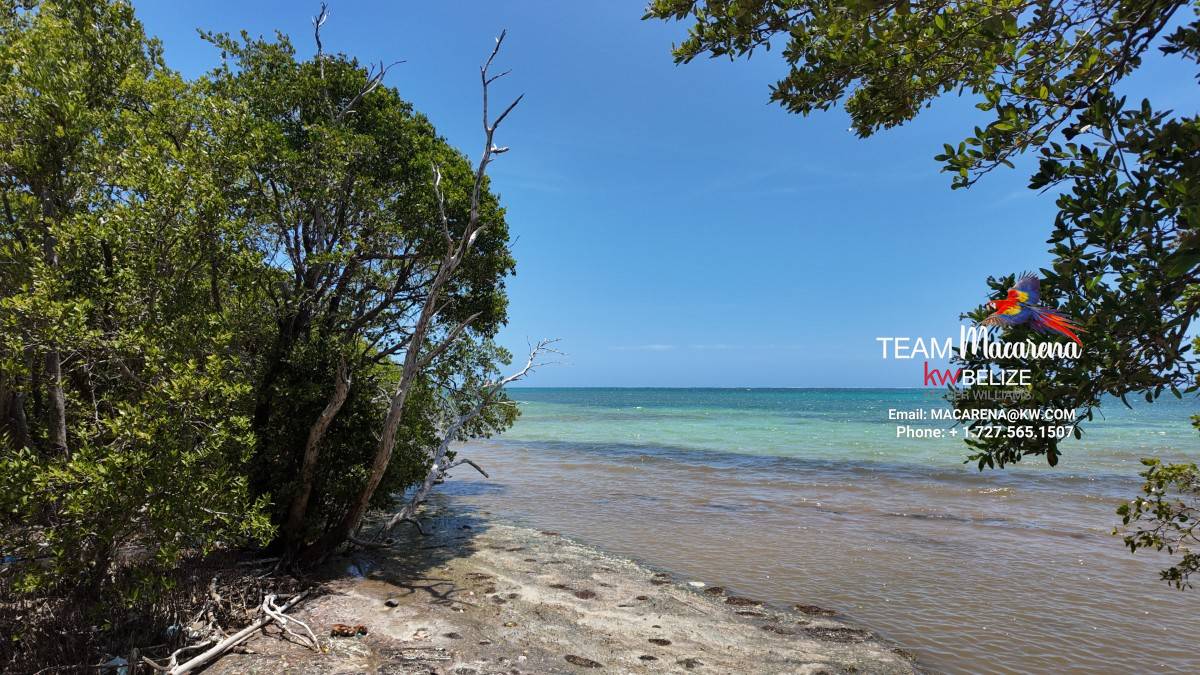 Island Investment Opportunity in Belize