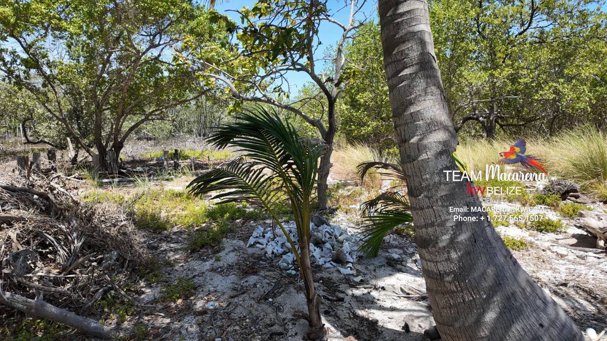 Island Investment Opportunity in Belize