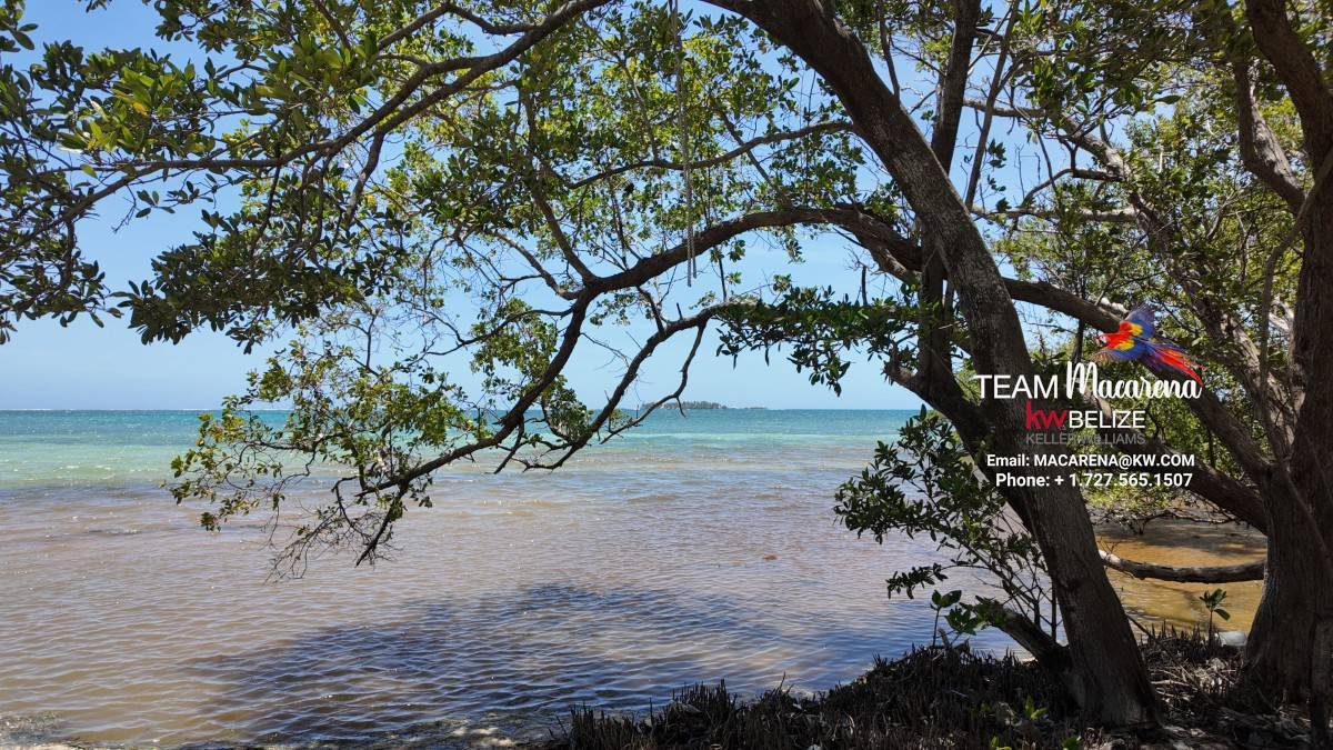 Island Investment Opportunity in Belize