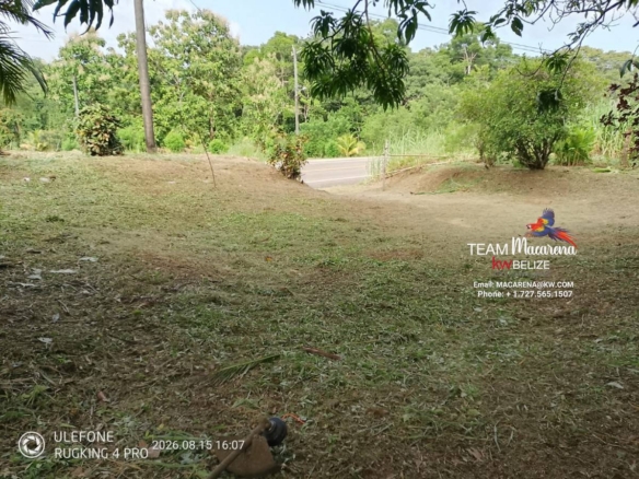 Large Parcel Of Land