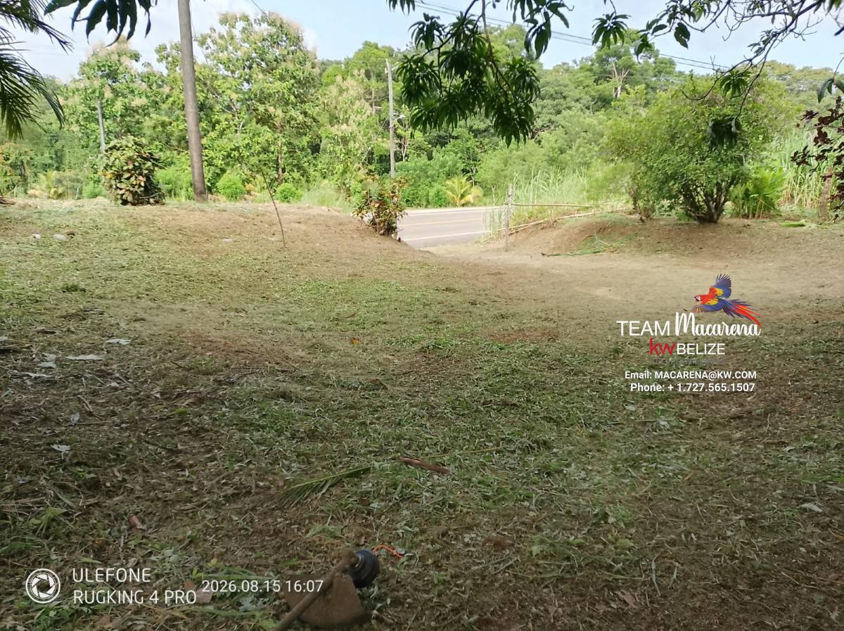 Large Parcel Of Land