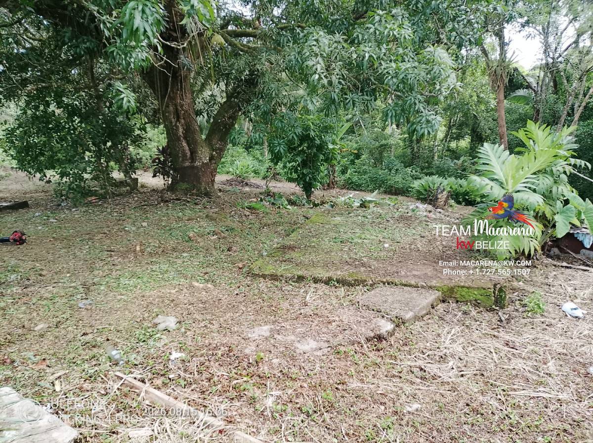 Large Parcel of Land Near Punta Gorda