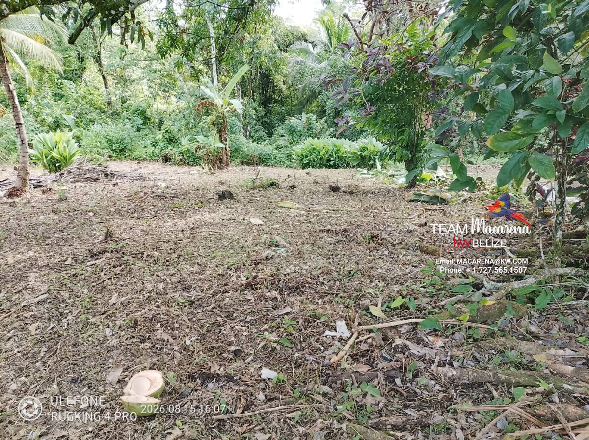 Large Parcel of Land Near Punta Gorda