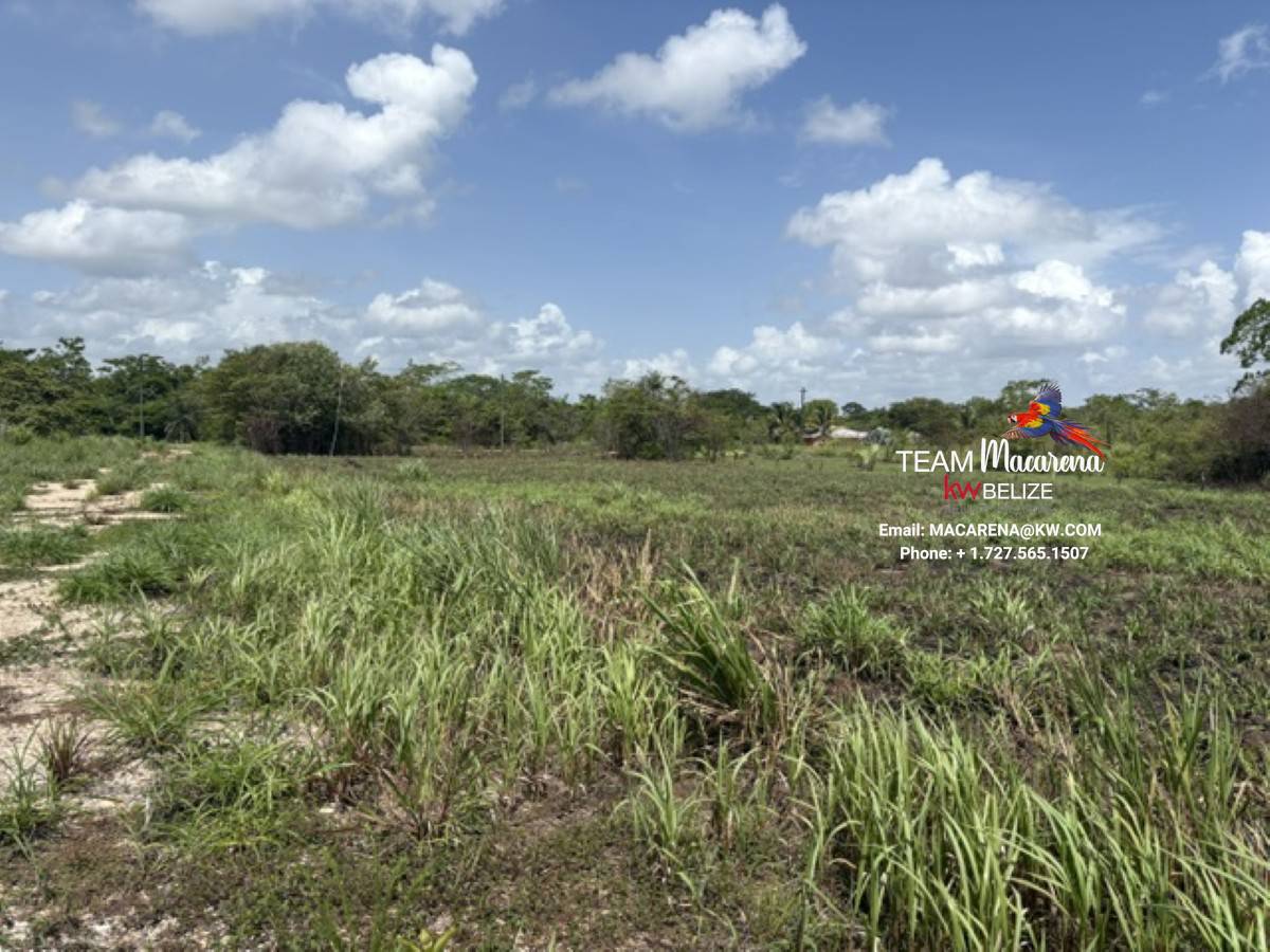 Prime Development Opportunit1 Prime Development Opportunity: 21 Residential Lots for Sale Near Belmopan