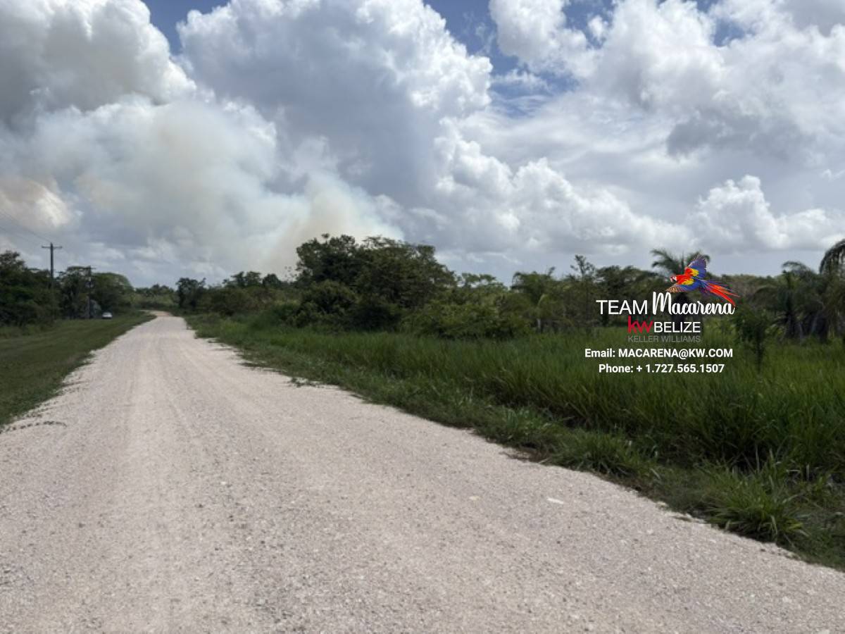 Prime Development Opportunit10 Prime Development Opportunity: 21 Residential Lots for Sale Near Belmopan